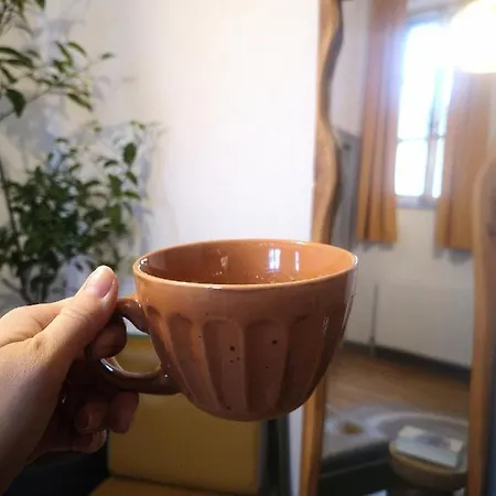 Codicei Brașov